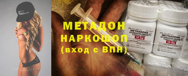 шишки Надым