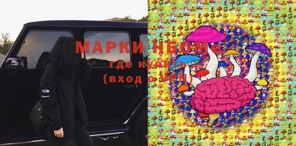 шишки Алзамай