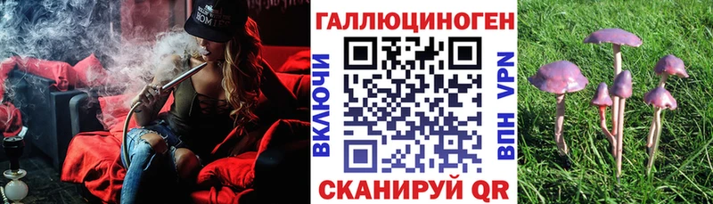 Галлюциногенные грибы мицелий купить наркотик дарк нет какой сайт Фёдоровский